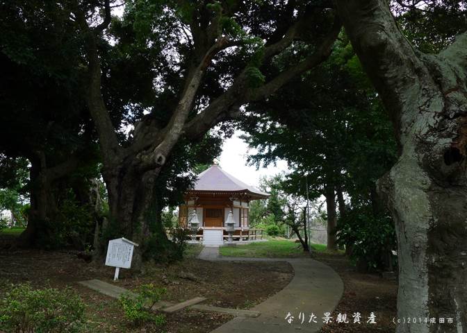 宝徳寺観音堂と森の景観写真1