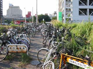 放置自転車がずらりと並んでいる様子