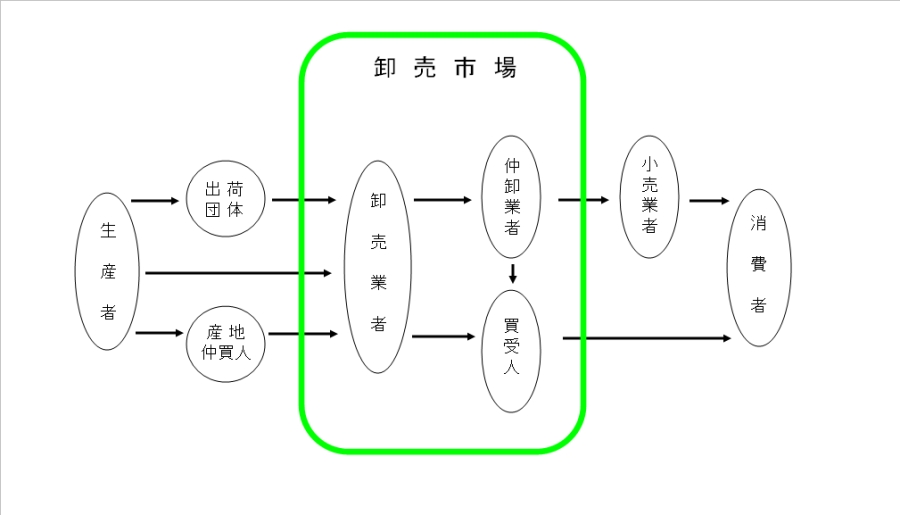 生産者から卸売市場、消費者までの流通の流れ図