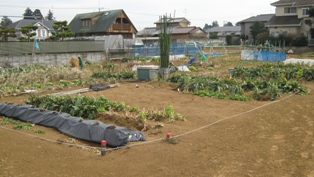 御料ふれあい農園の様子