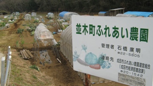 並木町ふれあい農園の看板と農園の様子