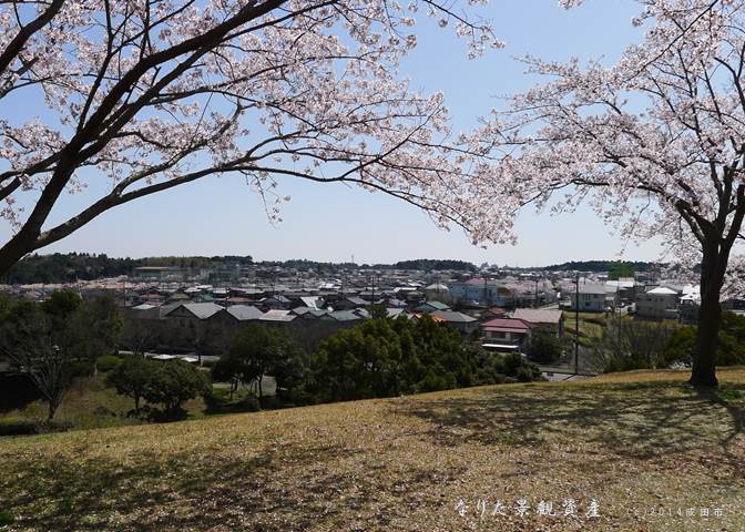 公津原古墳群から望む印旛沼と市街地の景観写真1