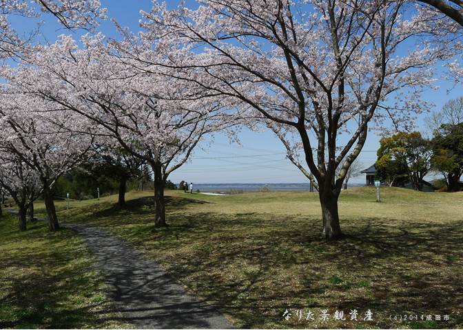 公津原古墳群から望む印旛沼と市街地の景観写真2