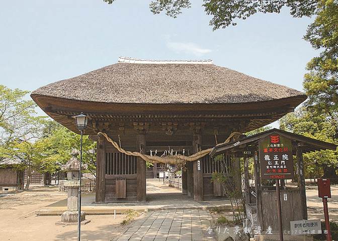 龍正院と桜の景観写真2