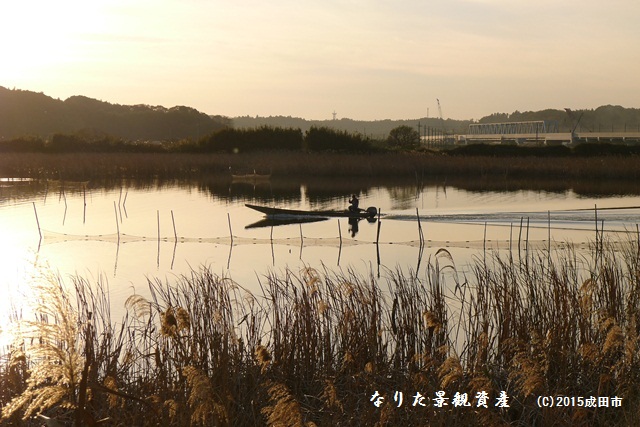 堤防から眺める印旛沼と成田スカイアクセス線の景観写真1