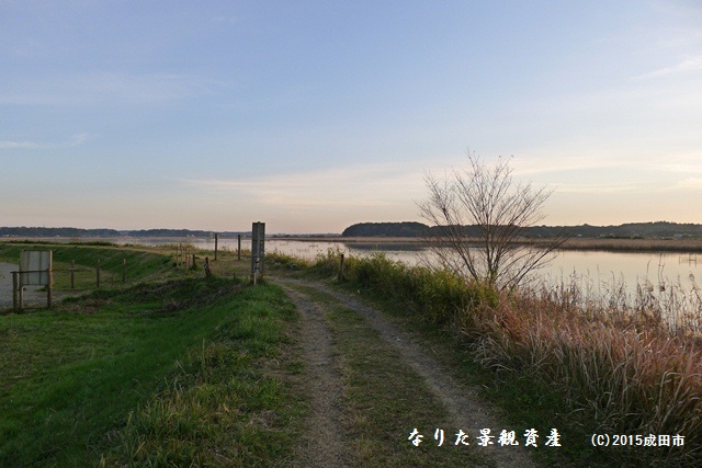 堤防から眺める印旛沼と成田スカイアクセス線の景観写真3