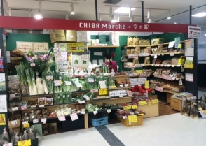 成田空港周辺で採れた様々な野菜が並ぶ店内の様子