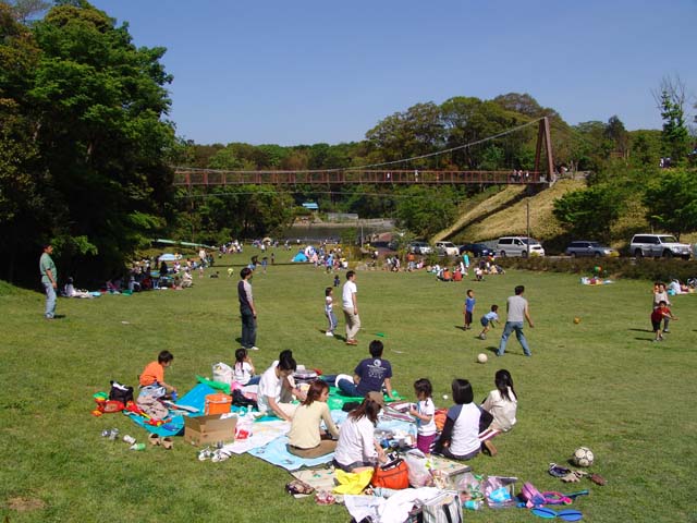 坂田ヶ池総合公園の様子