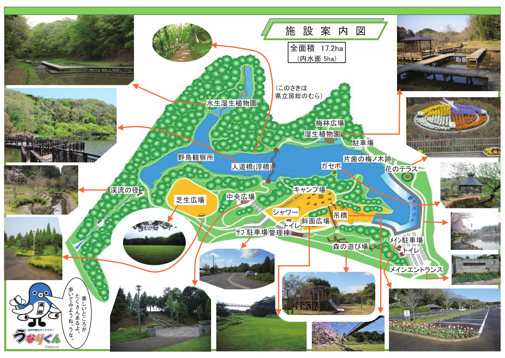 坂田ヶ池総合公園の施設案内図。人道橋・キャンプ場は公園の中央に、芝生広場、水生・湿生植物園は西側に、釣りエリア・森の遊び場は東側にあります。