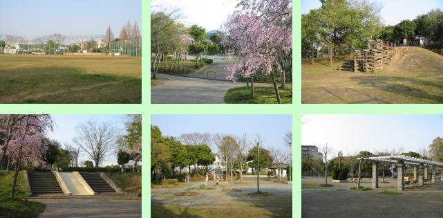 神宮寺公園の様子