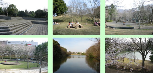 赤坂公園の様子