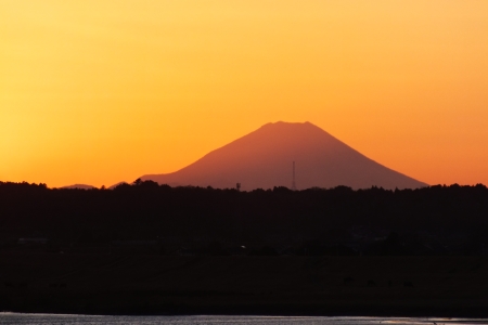 展望台から見た風景画像1