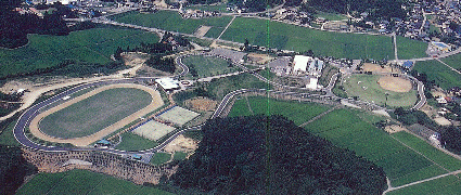 上空から見た下総運動公園の様子