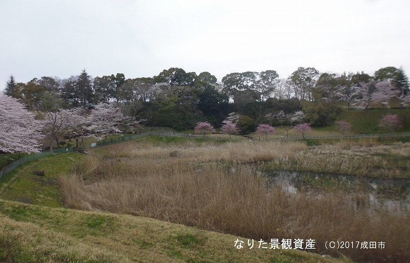 重兵衛スポーツフィールド中台の景観の写真