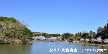 坂田ヶ池総合公園の景観の写真2