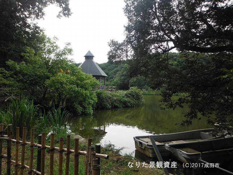 坂田ヶ池総合公園の景観の写真3