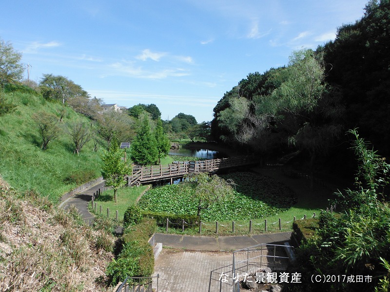後谷津公園の景観の写真1