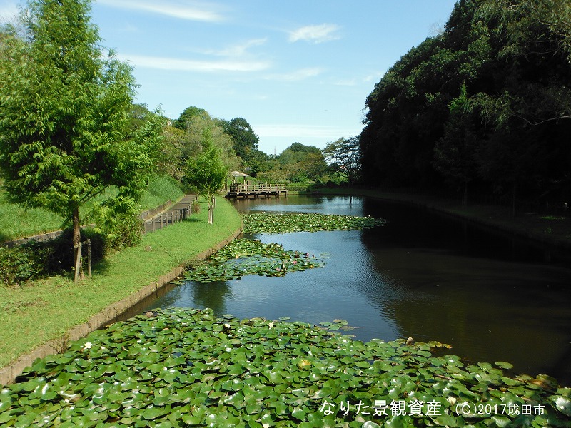 後谷津公園の景観の写真2