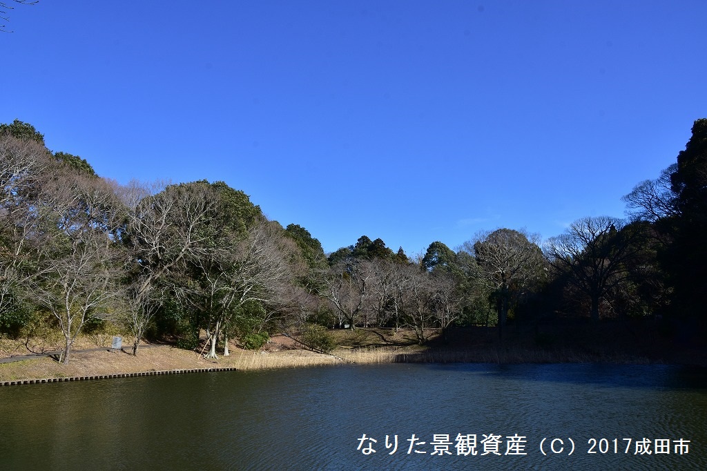 浅間池と森林の景観の写真1