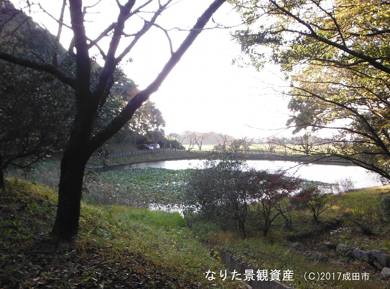 浅間池と森林の景観の写真2