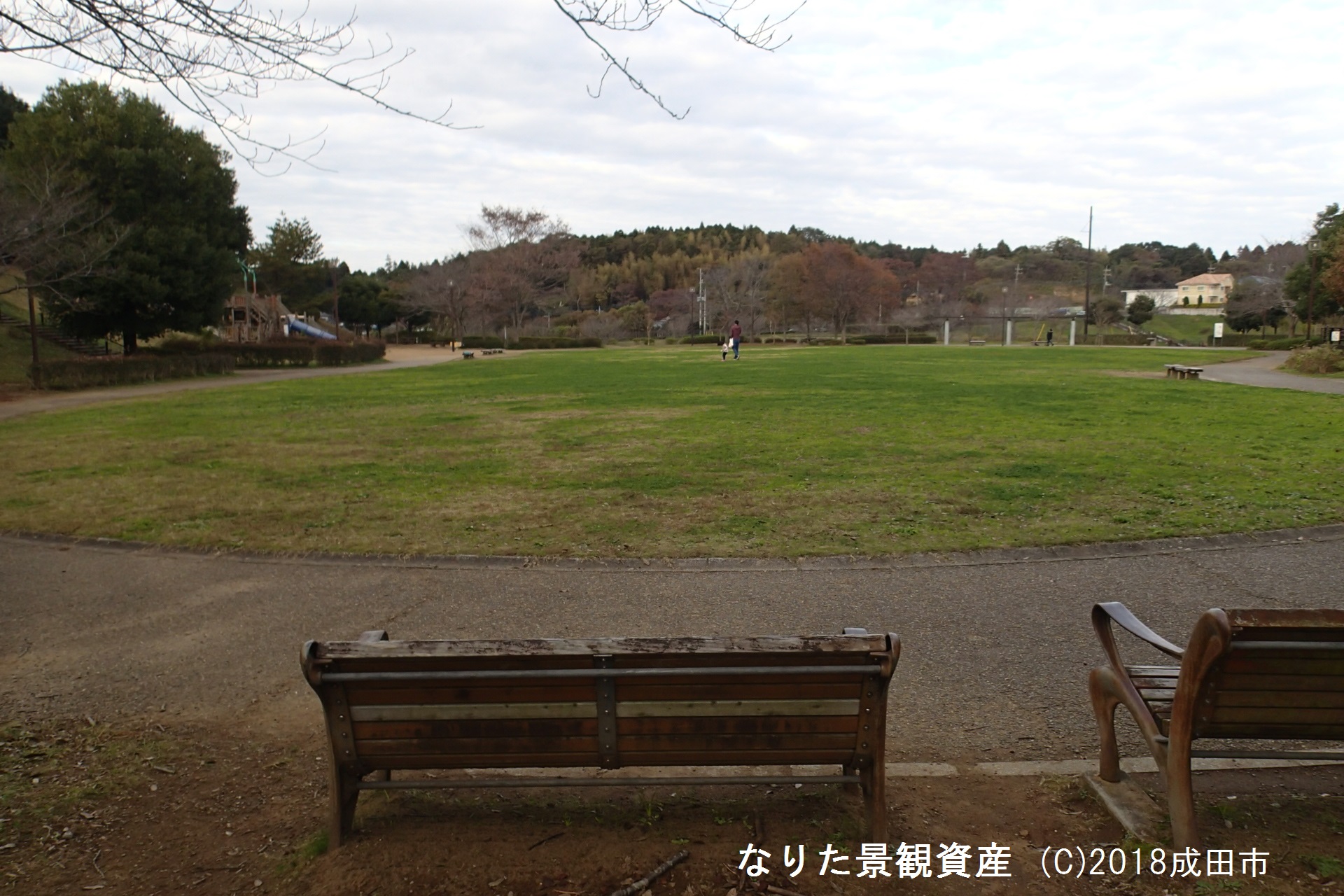 公津の杜公園の景観の写真2