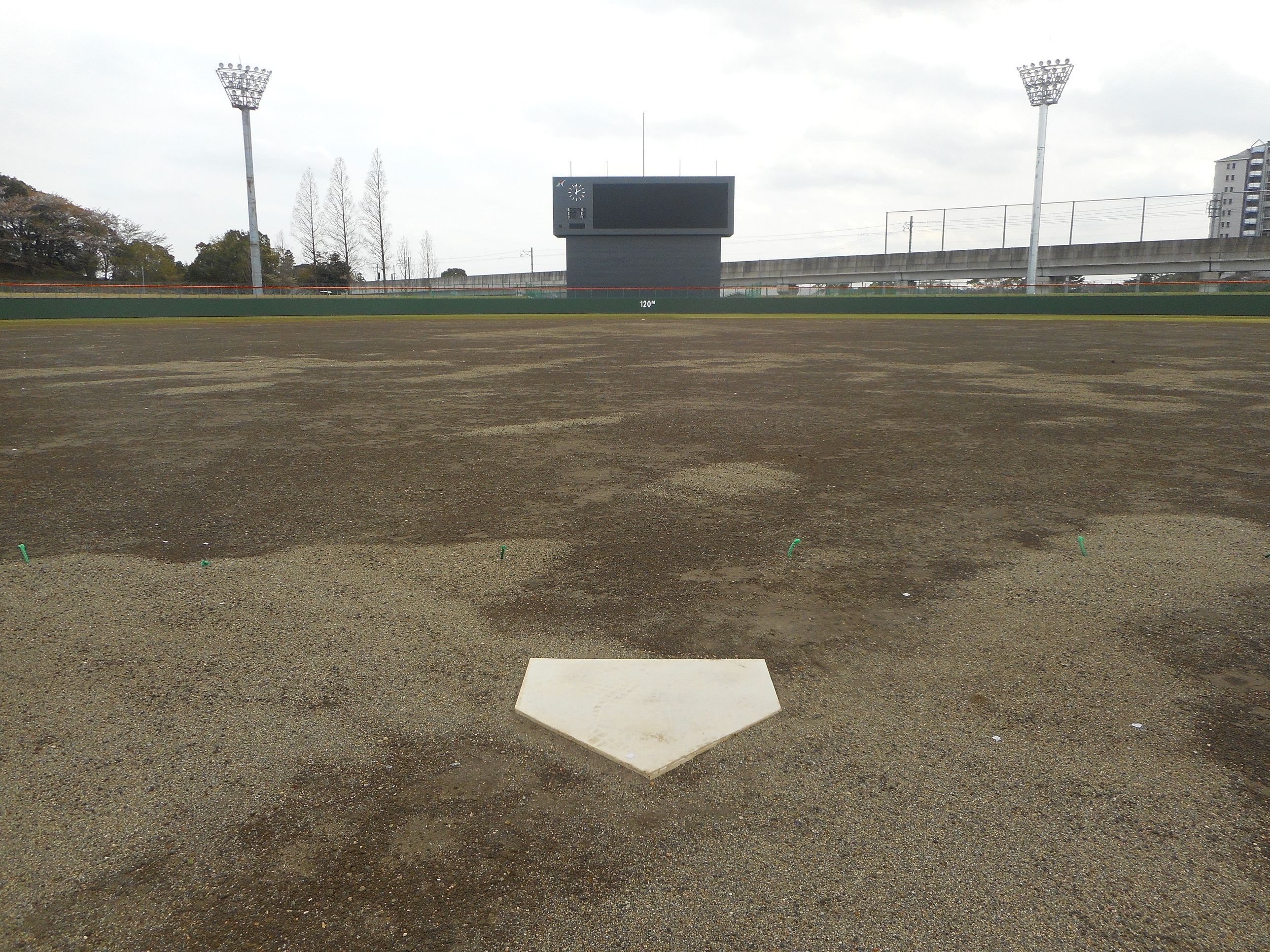 大谷津運動公園野球場内野グラウンド