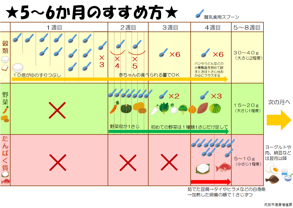 最初は10倍がゆのすりつぶしからスタートし、2から3日で1匙ずつ増やしていきます。2から3週目頃には、にんじんやかぼちゃ、芋類など消化のよい野菜を与え、4週目頃にはゆでた豆腐や白身魚などを与えていきます。