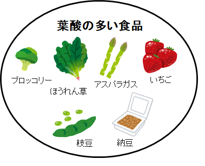 葉酸の多い食品は、ブロッコリーやほうれん草、アスパラガス、枝豆、納豆、いちごなど。
