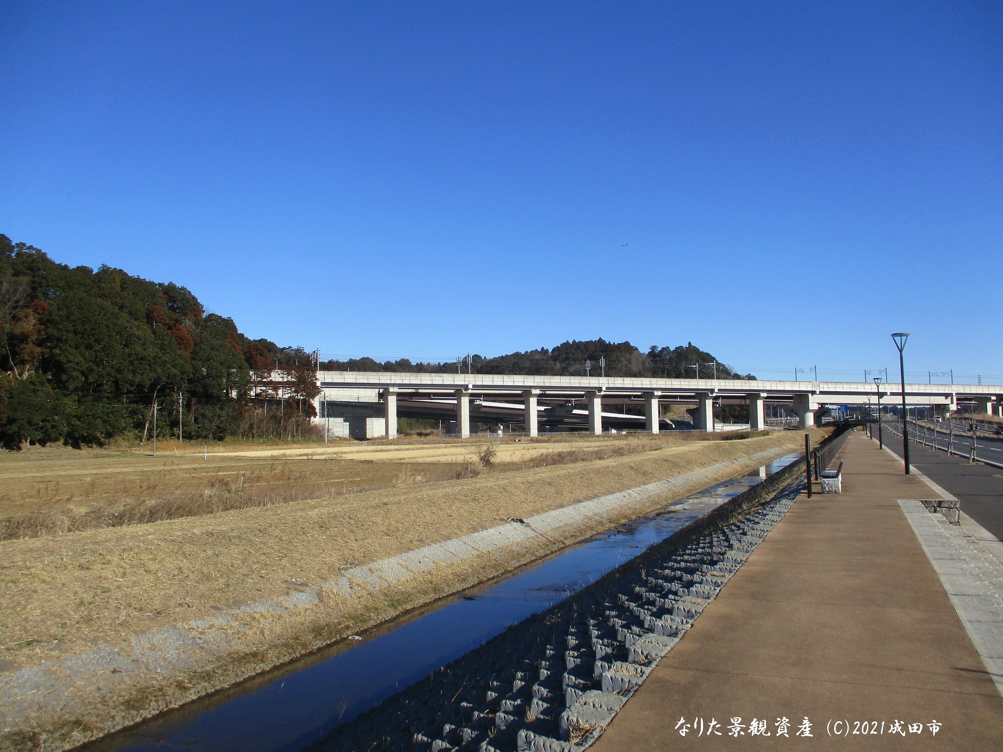松崎川遊歩道から望む自然の景観写真1