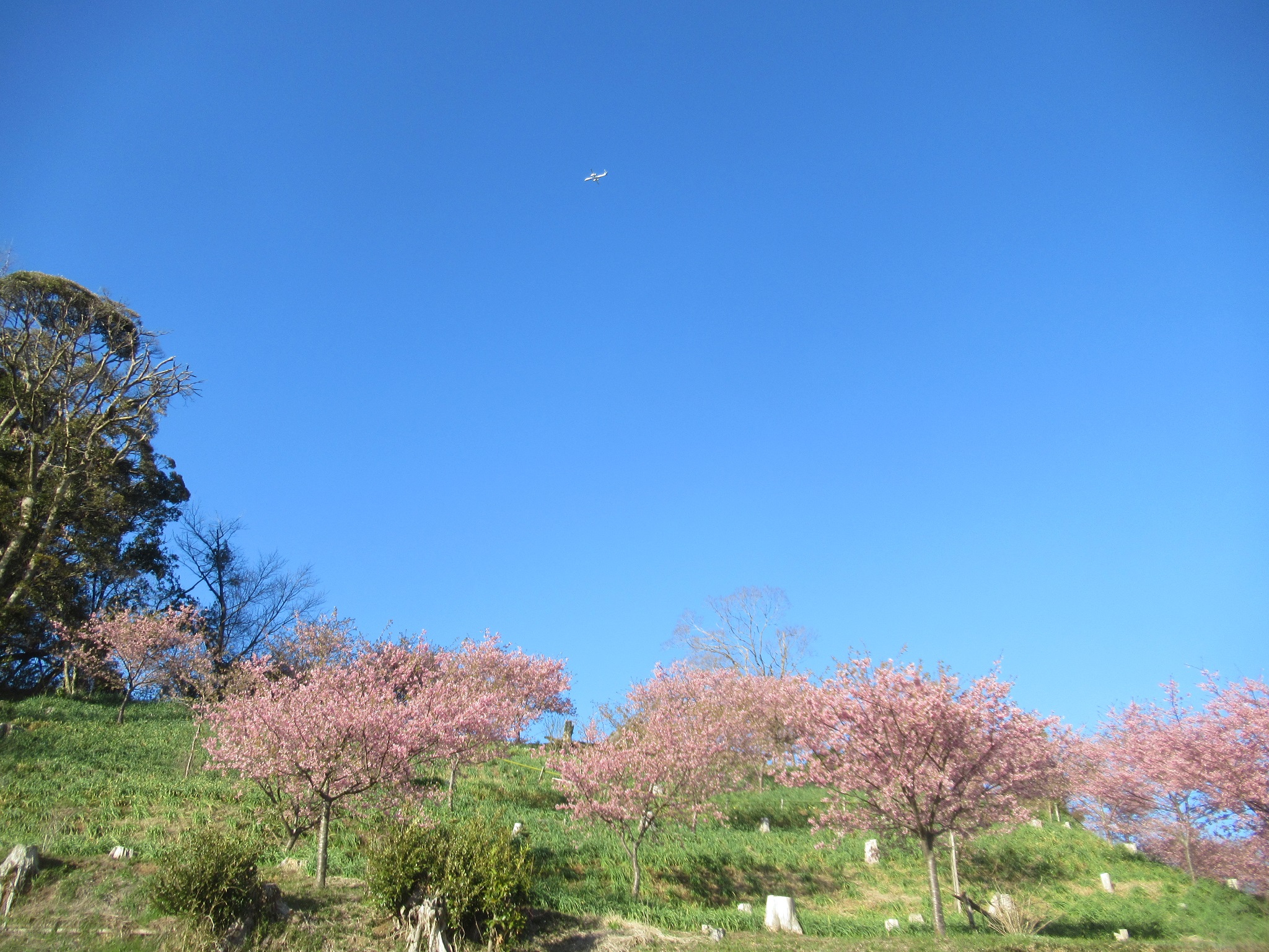 取香川散策路から望む里山の景観写真1