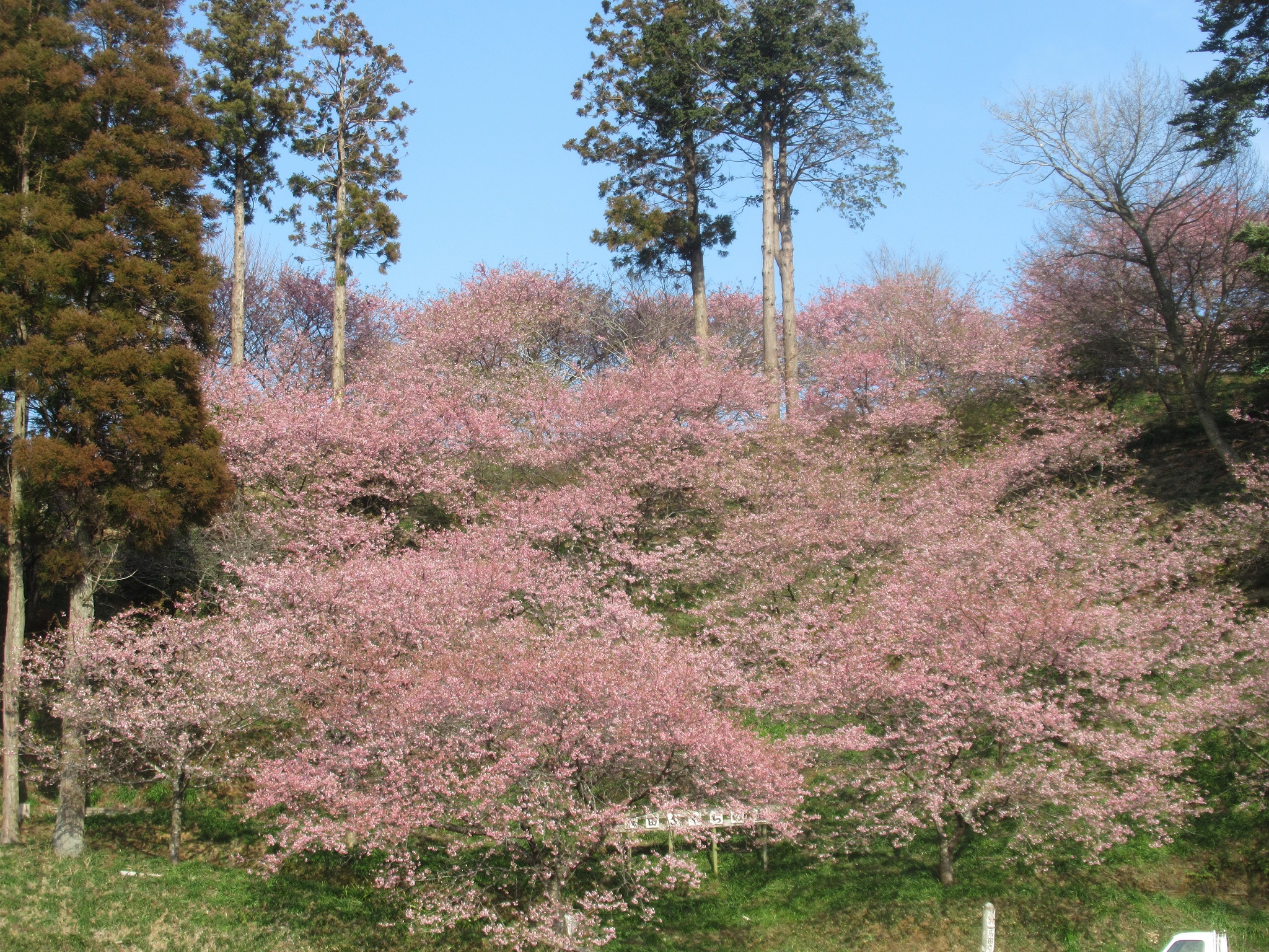 取香川散策路から望む里山の景観写真2