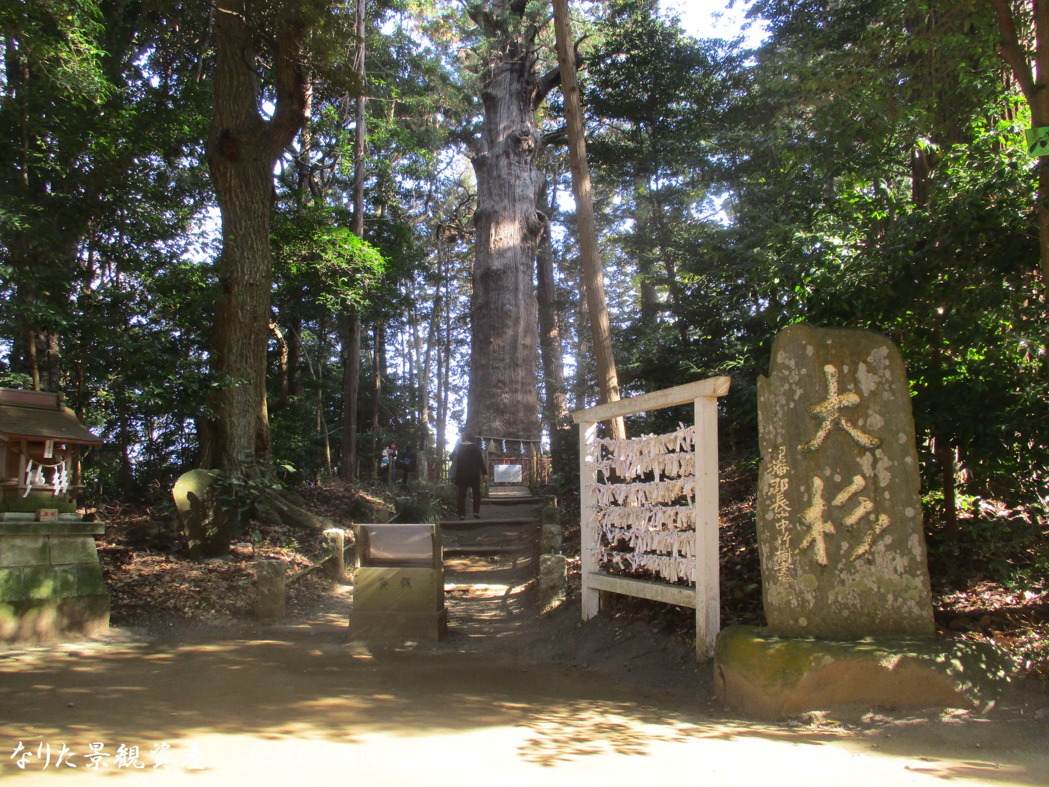 麻賀多神社（本宮）と森林の景観写真2