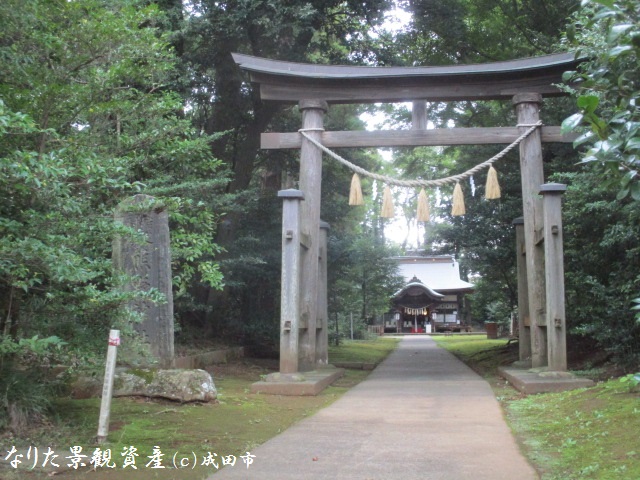 成田豊住熊野神社と森林の景観写真1
