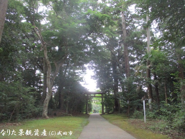 成田豊住熊野神社と森林の景観写真2