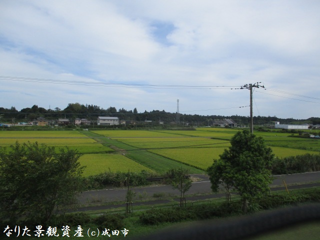 下総利根宝船公園から望む田園の風景