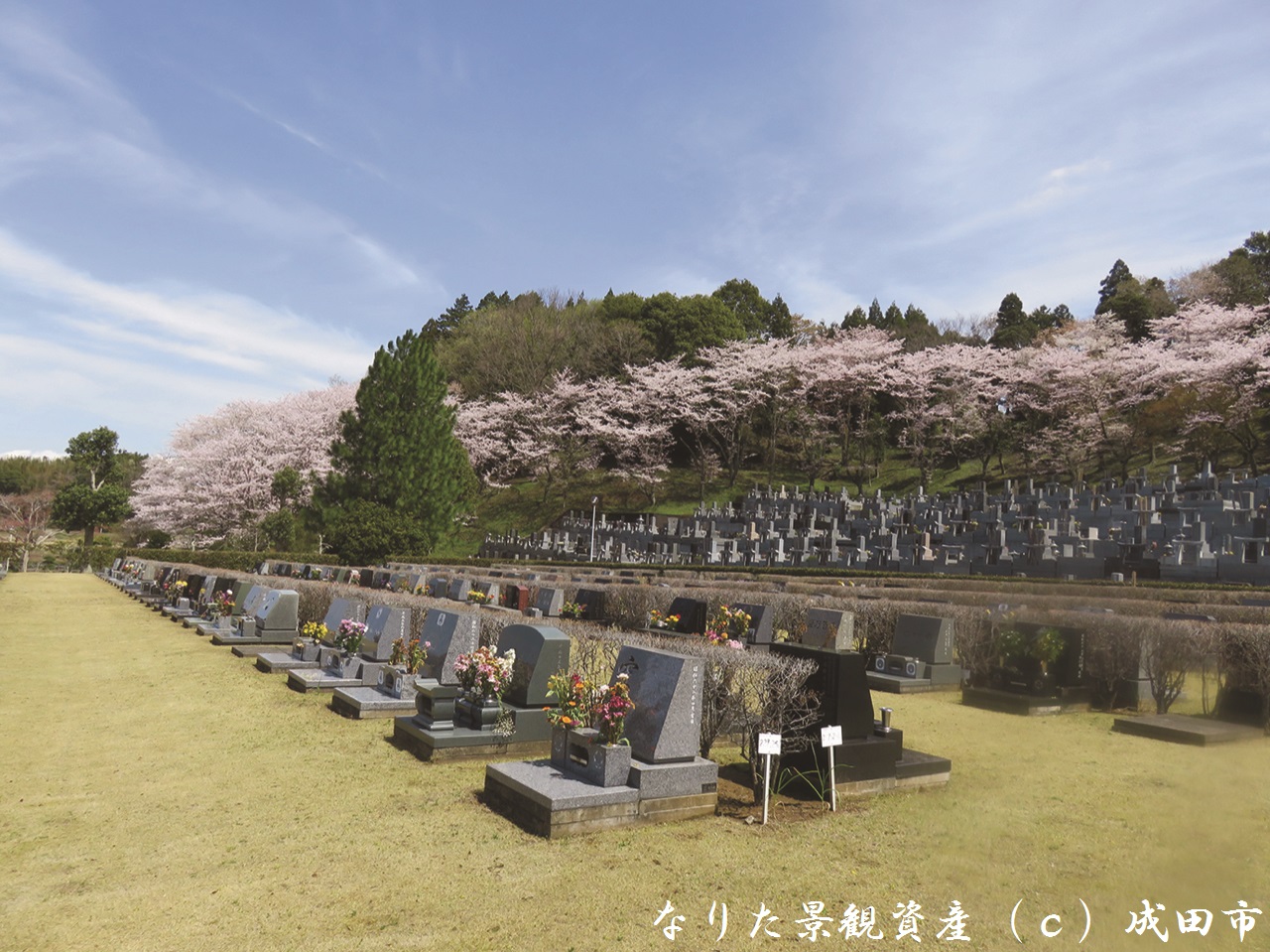 成田市営霊園いずみ聖地公園の景観写真1