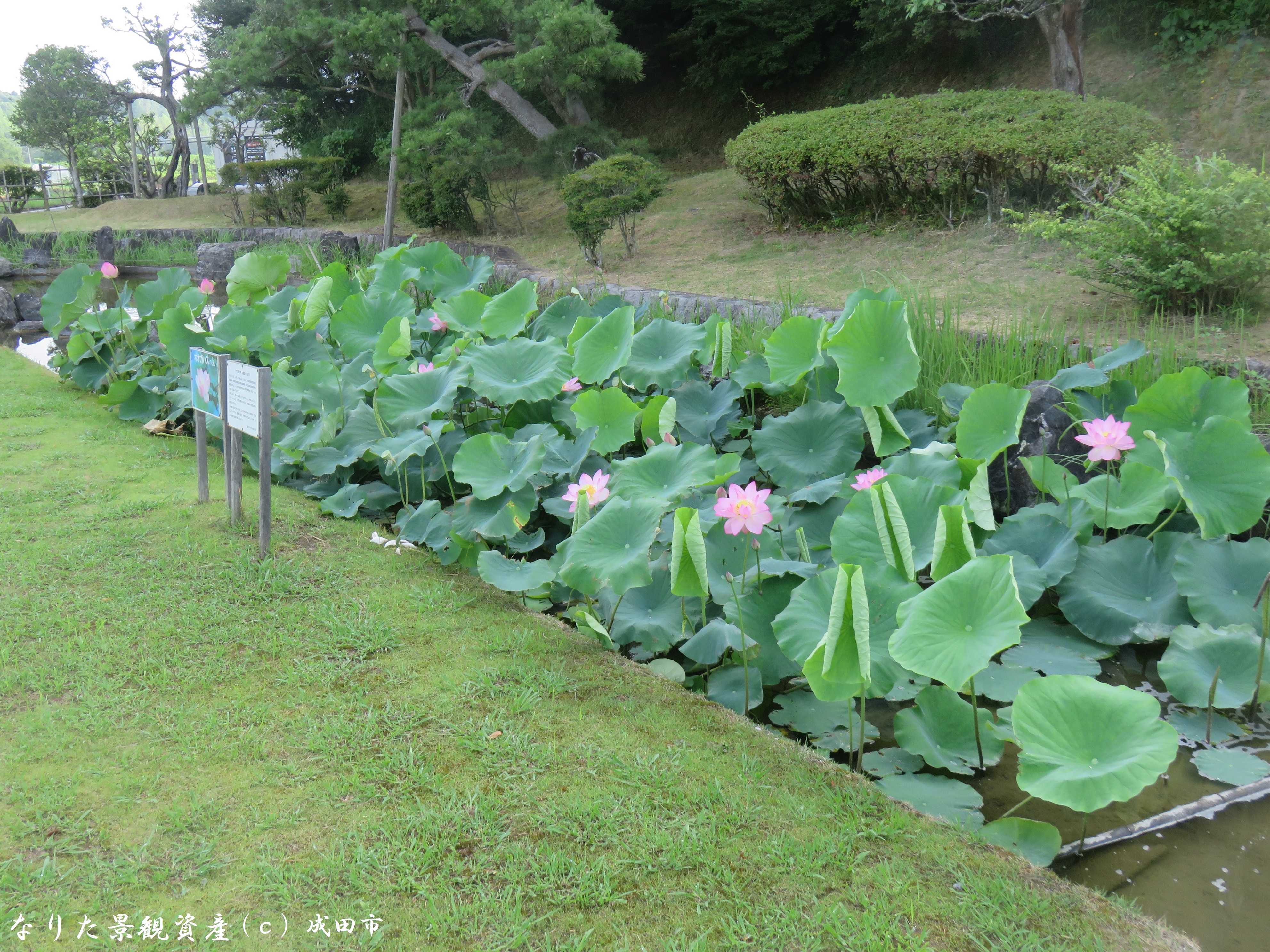 成田市営霊園いずみ聖地公園の景観写真3