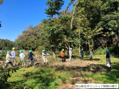 里山保全ボランティア