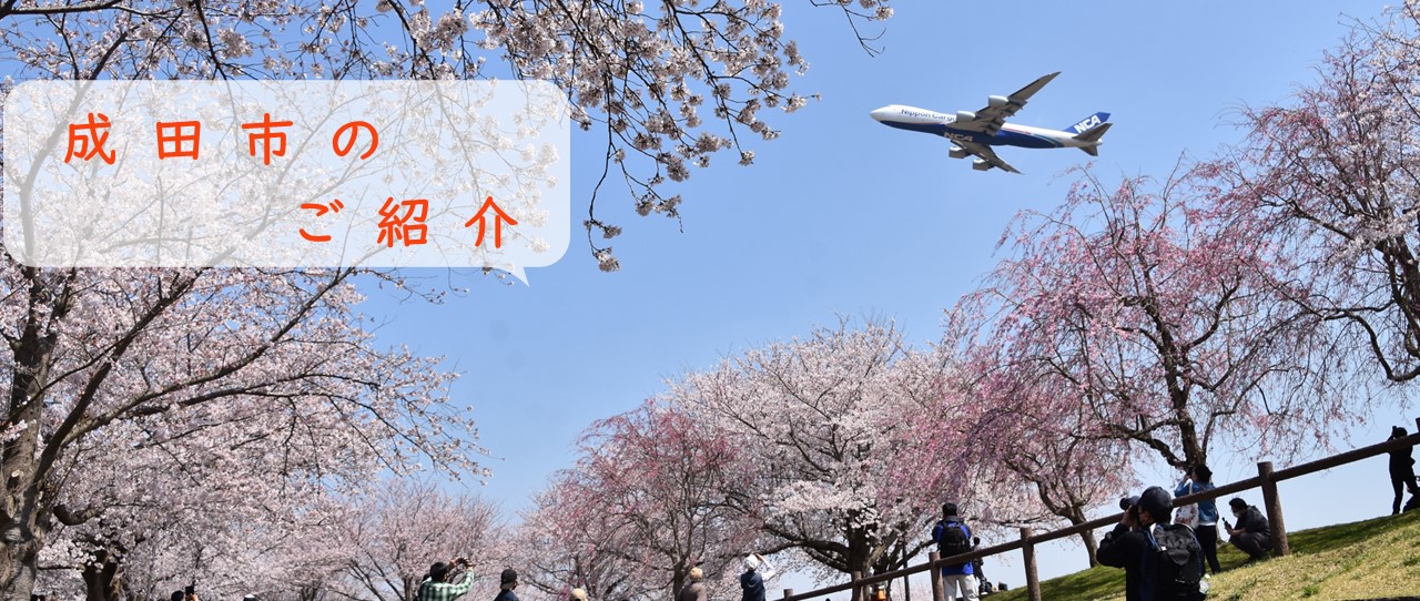 桜と飛行機