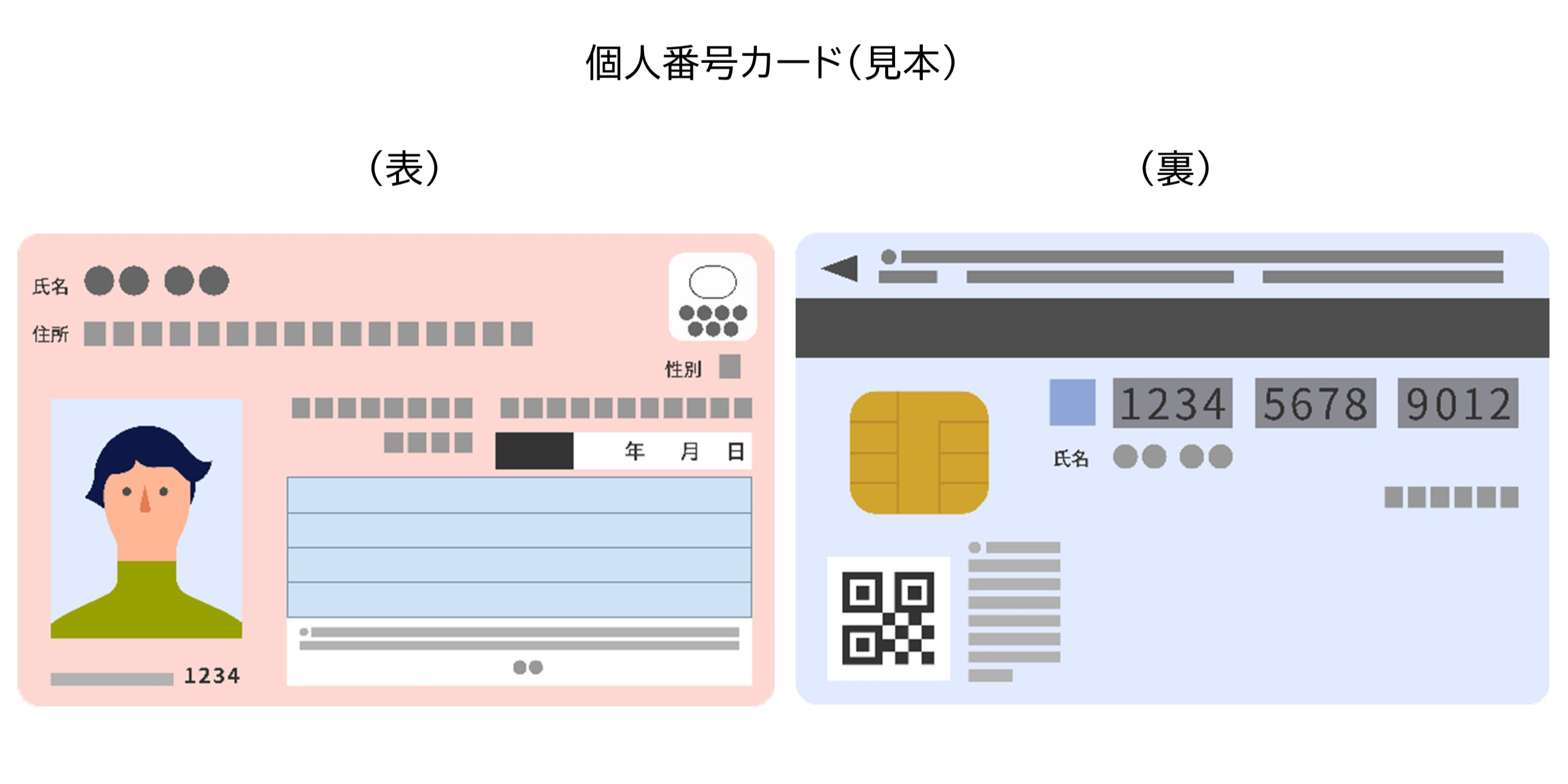 個人番号カード（見本）