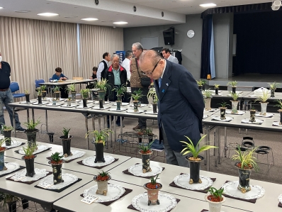 展示品を鑑賞する様子