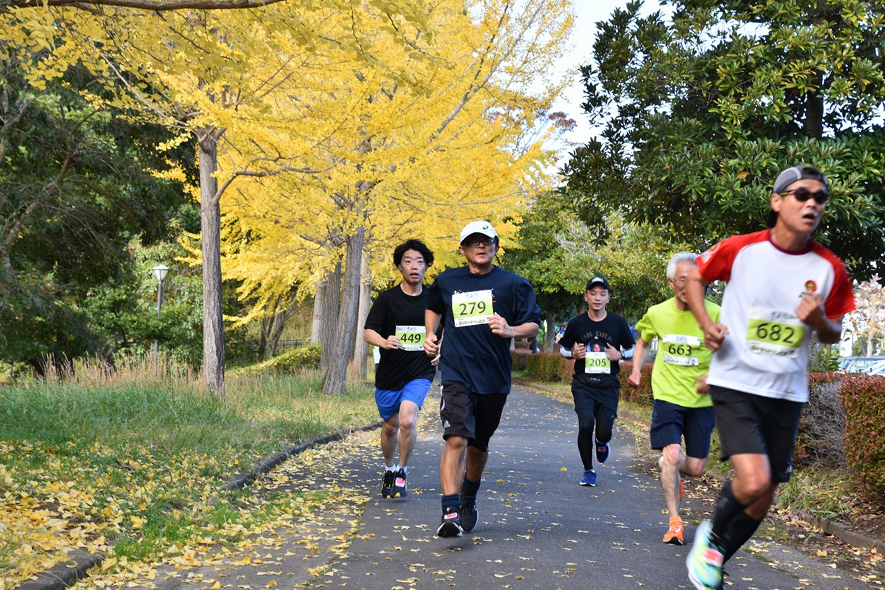 2025成田POPラン大会の10キロメートルの部に参加したランナーがイチョウ並木の中を走り抜ける様子の写真。