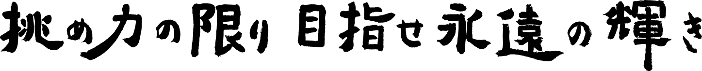 令和9年度全国高等学校総合体育大会のスローガン揮毫（横書き）。毛筆を使い「挑め力の限り 目指せ永遠の輝き」と力強く書かれている画像。