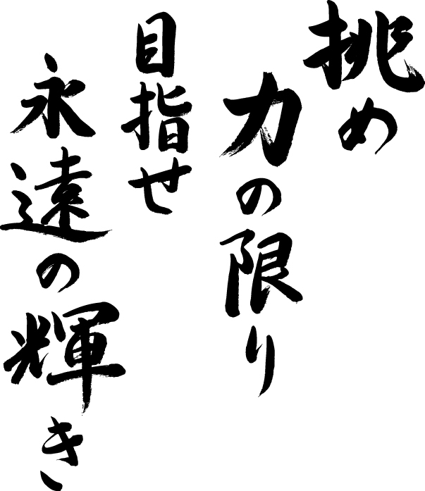 令和9年度全国高等学校総合体育大会のスローガン揮毫（縦書き）。毛筆を使い「挑め力の限り 目指せ永遠の輝き」と力強く書かれている画像。