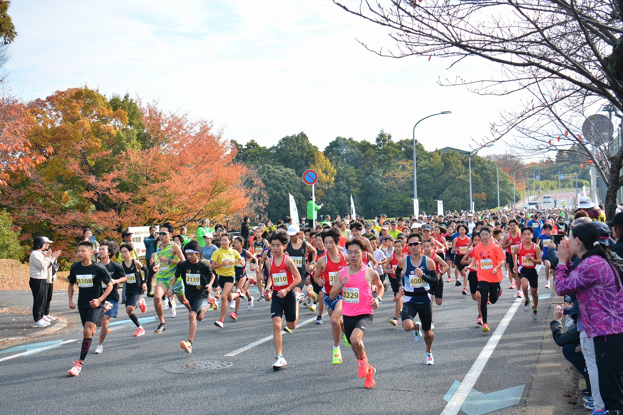2025成田POPラン大会の3キロメートルの部（中学生・一般）に参加したランナーがスタート直後に勢いよく走る様子の写真。背景には、黄色やオレンジ色に色付いた木々が写っている。