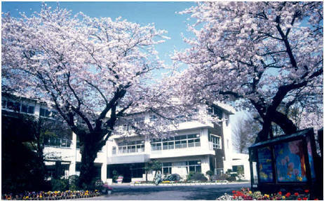 成田小学校の画像