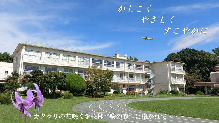 遠山小学校